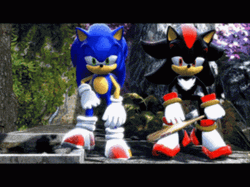 Sonic And Shadow The Hedgehog GIF