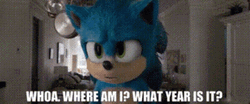 Sonic Asking What Year Is It