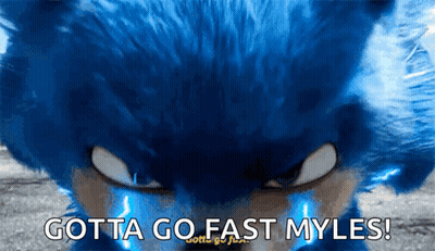 Sonic Gotta Go Fast Myles GIF