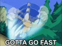 Sonic Hedgehog Speed Gotta Go Fast GIF