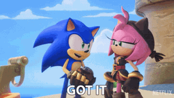 Sonic Prime With Amy Rose Got It GIF