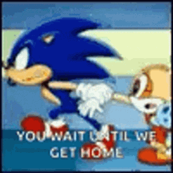 Sonic Running Wait Until We Get Home GIF
