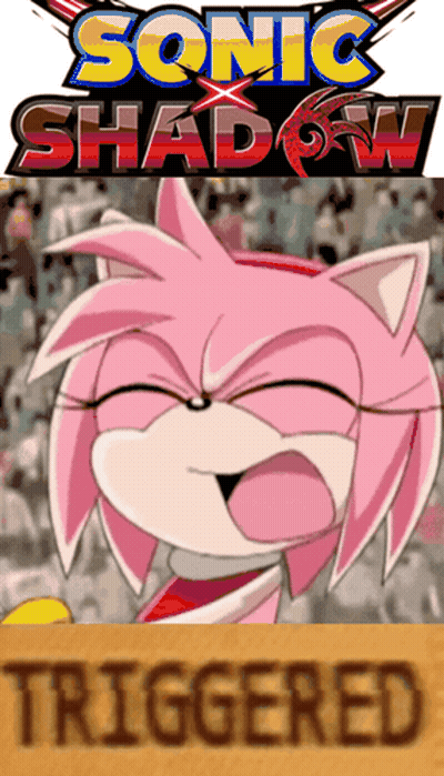 Sonic Shadow Poster Amy Making Funny Face GIF