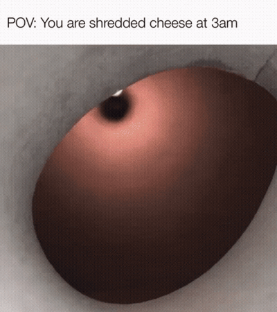 Sonic The Hedgehog Amortyzator Kot To Stinky Cheese GIF