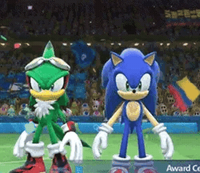 Sonic The Hedgehog And Jet The Hawk Are Standing Next To Each Other On A Tennis Court . GIF