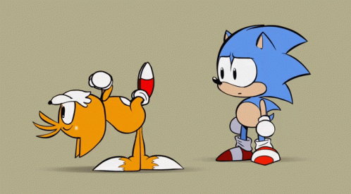 Sonic The Hedgehog And Tails GIF