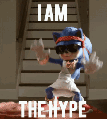 Sonic The Hedgehog Funny I Am The Hype GIF