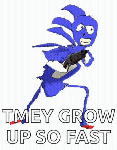 Sonic The Hedgehog Holding Gun Saying They Grow Up So Fast GIF