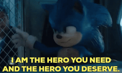 Sonic The Hedgehog I Am The Hero You Need And The Hero You Deserve GIF