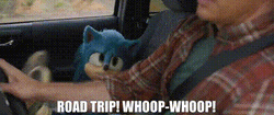 Sonic The Hedgehog Road Trip Whoop Whoop GIF