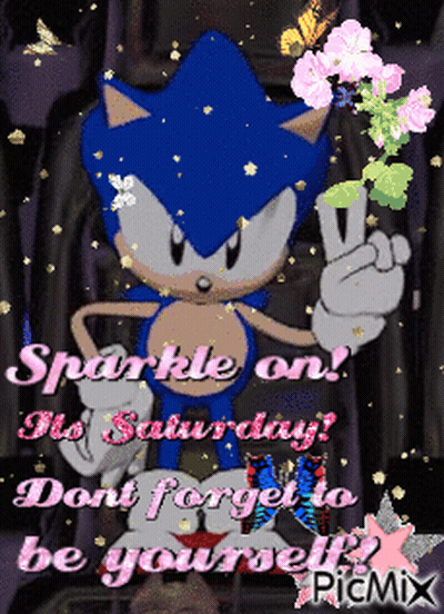 Sonic The Hedgehog Saying Sparkle On Saturday GIF
