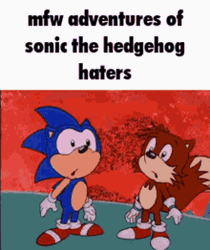 Sonic The Hedgehog Tails Surprised Adventure Haters  GIF