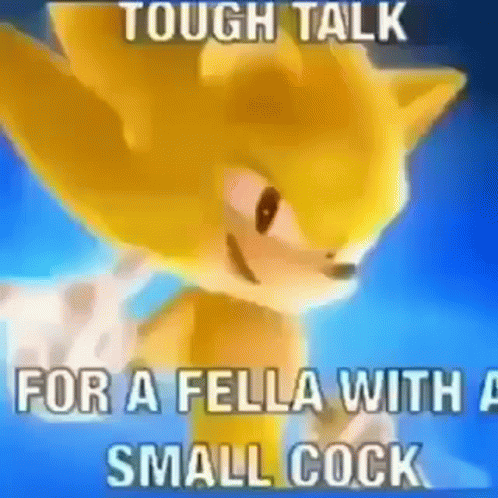 Sonic The Hedgehog Talking To Someone With Small Cock GIF