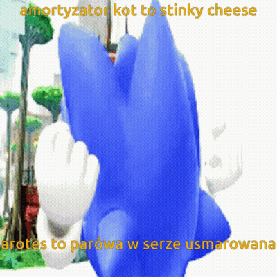 Sonic The Hedgehog With Amortyzator Kot To Stinky Cheese GIF