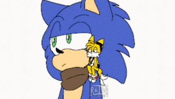 Sonic X Giant Sonikun GIF
