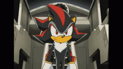 Sonic X Shadow The Hedgehog GIF