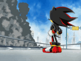 Sonic X Shadow The Hedgehog GIF