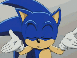 Sonic X The Hedgehog No Idea GIF