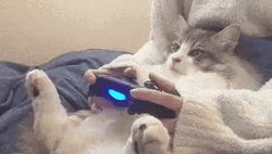 Sony Ps5 Cat Controller