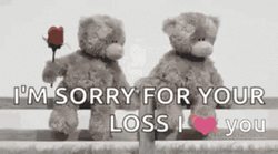 Sorry For Your Loss I Love You GIF