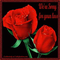Sorry For Your Loss Red Roses GIF