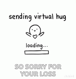 Sorry For Your Loss Sending Virtual Hug GIF