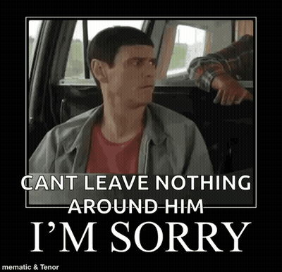 Sorry I’m Sorry GIF