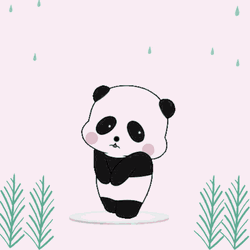 Sorry Sad Panda