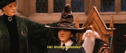 Sorting Hat Ha Another Weasley GIF