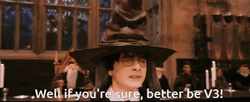 Sorting Hat Well If Youre Sure Better V3 GIF