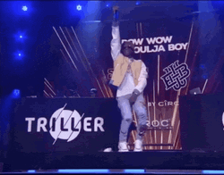 Soulja Boy Performing With Bow Wow GIF