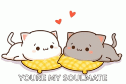 Soulmate Animated Cats Peach Goma GIF