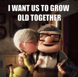 Soulmate Up Movie Carl And Ellie GIF