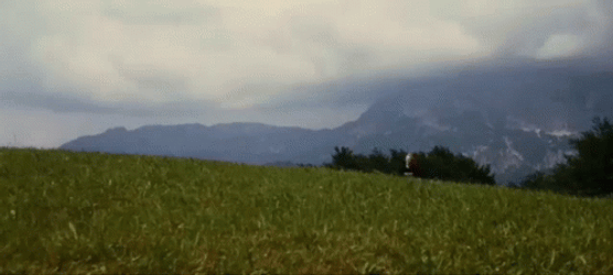 Sound Of Music Julie Andrews On The Hill GIF