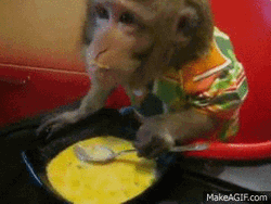 Soup Lover Monkey GIF