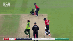 South African Cricketer Jason Roy GIF