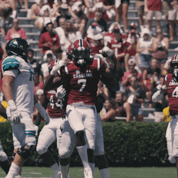 South Carolina Gamecocks Celebrating GIF