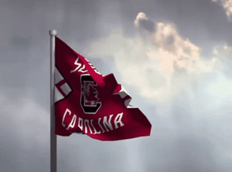 South Carolina Gamecocks Flag GIF