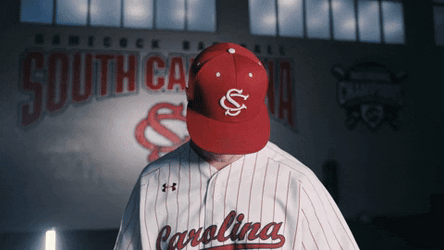 South Carolina Gamecocks Game On GIF