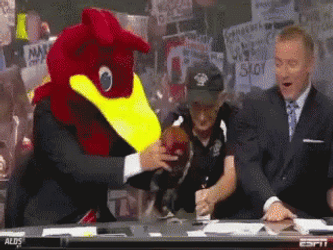 South Carolina Gamecocks Mascot GIF