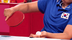South Korean Table Tennis Player GIF