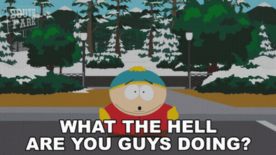 South Park Character Asking What The Hell Are You Guys Doing GIF
