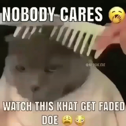 South Park Character I Could Watch All Day GIF