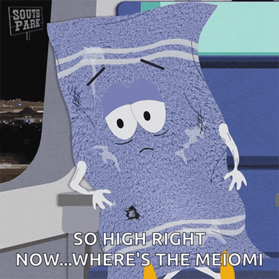 South Park Character Saying So High Right Now Where's The Meimi GIF