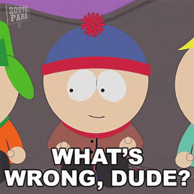 South Park Character Saying What's Wrong Dude GIF