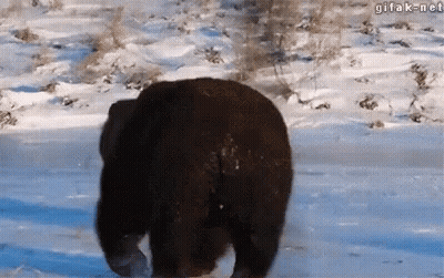 South Park Girl Sitting At Table GIF