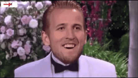 Southgate England Its Coming Home GIF