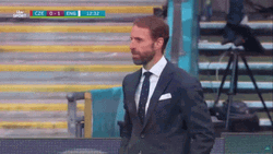 Southgate Gareth Sudden Clap Hands GIF
