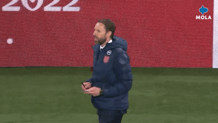 Southgate Looks Very Happy GIF