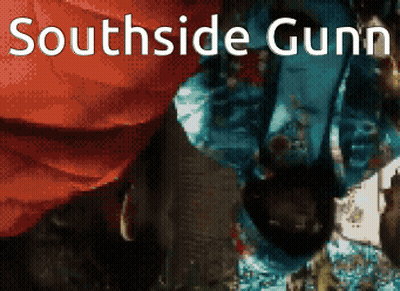 Southside Gunn Person In Water GIF